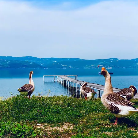 Lake Harmony Sapanca Villa *